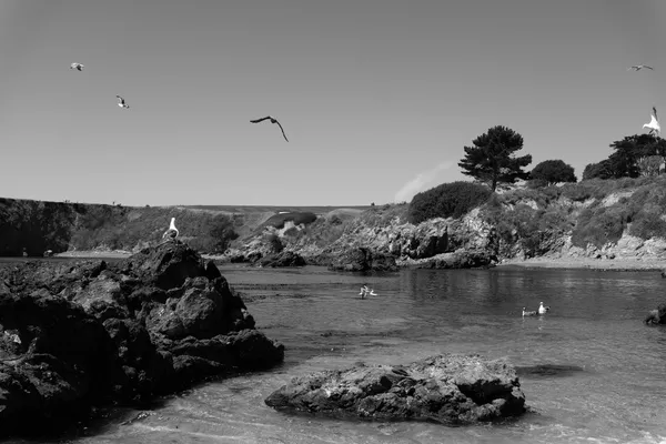 Beach Day VIII.jpg