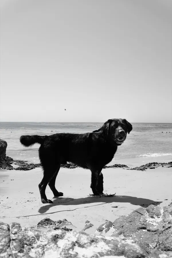 Beach Day X.jpg