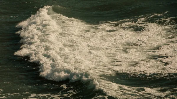 Foamy Waters .jpg