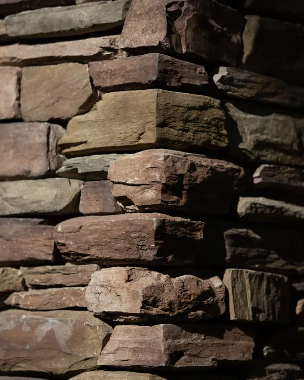 Leo Back yard and fron -1.jpg