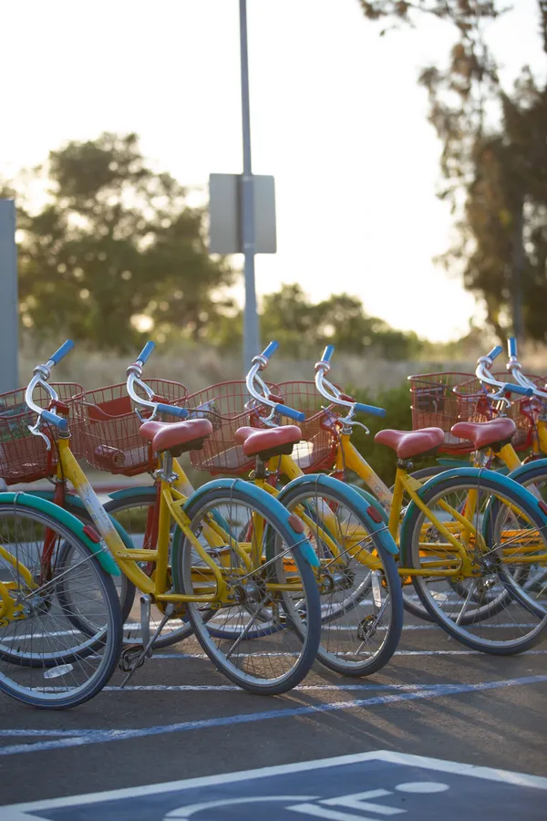 Leo Back yard and front 2-1-3.jpg