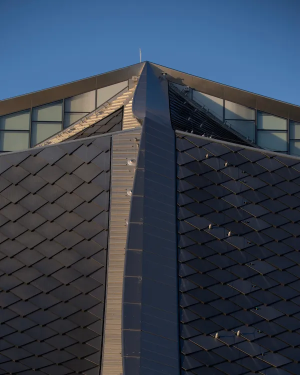 Leo Back yard and front 2-2-2.jpg