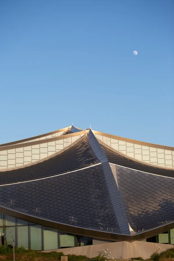 Leo Back yard and front 2-3-2.jpg