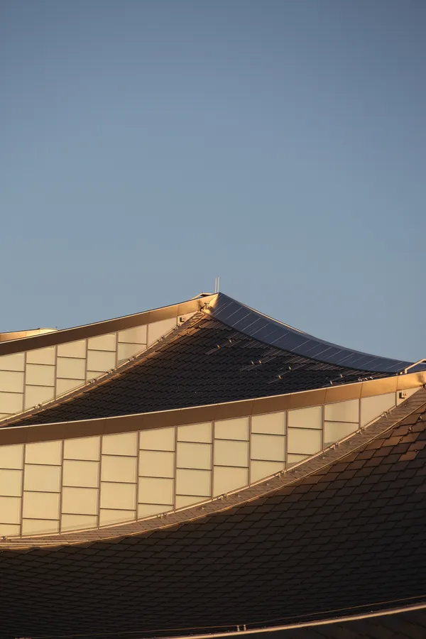 Leo Back yard and front 2-6-2.jpg