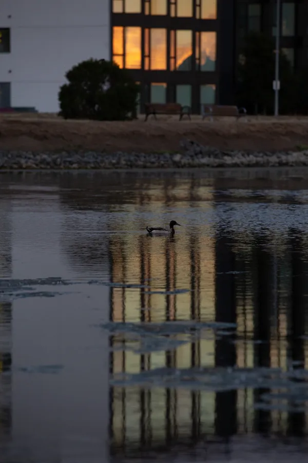 Leo Back yard and front 2-8-3.jpg