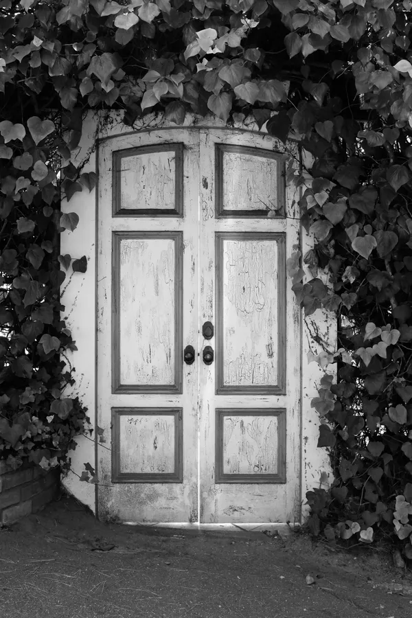 Leo carmel and beach-4.jpg