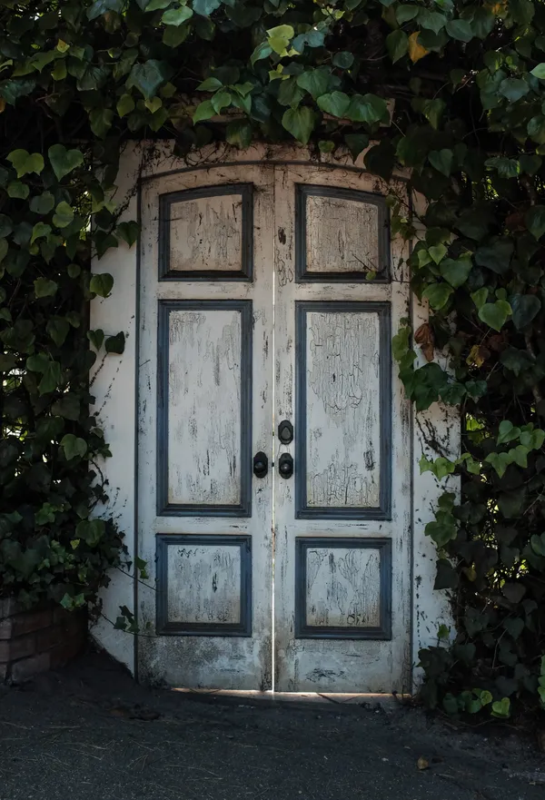 Leo carmel and beach-5.jpg