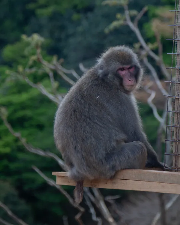 Leo japan all day walking tour -1-7.jpg