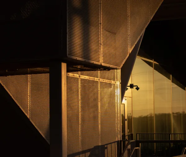 Leo point lobos  -1-2.jpg