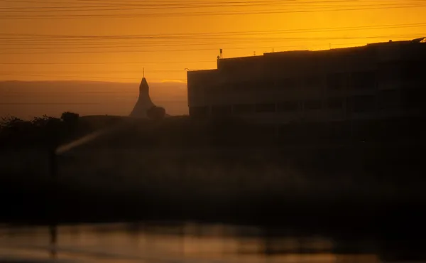 Leo point lobos  -3.jpg