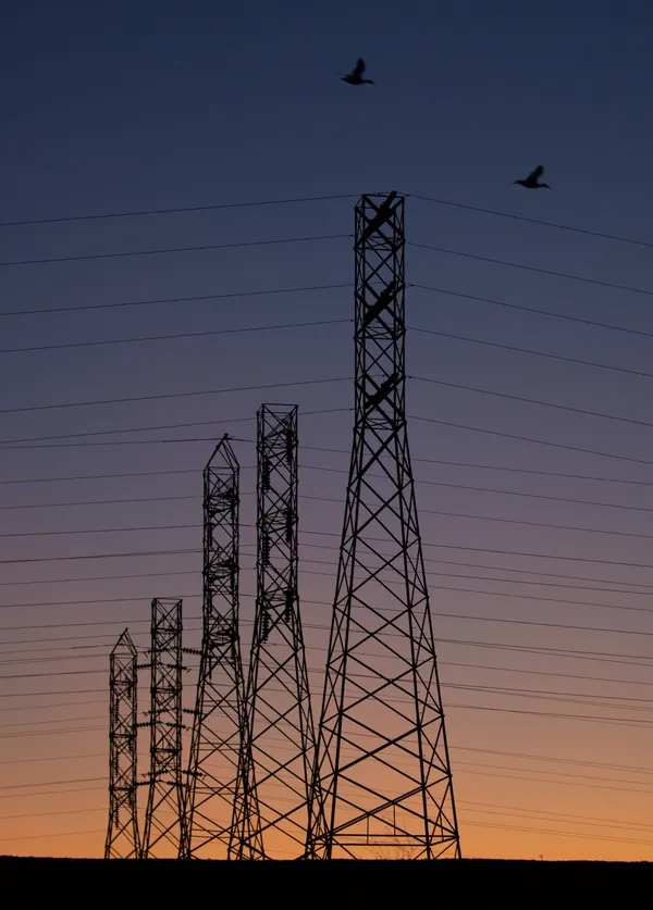 Leo point lobos  -5.jpg