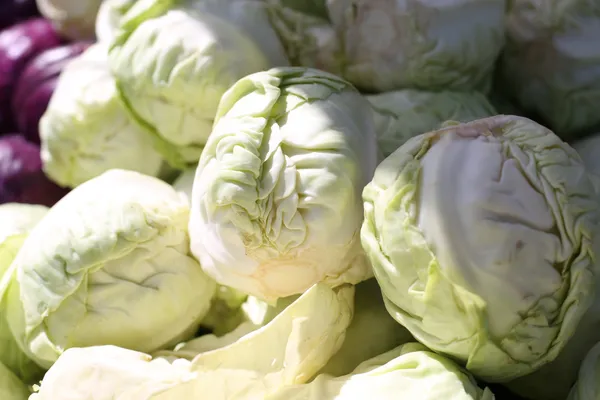 Leostevens creek trail-2-2.jpg