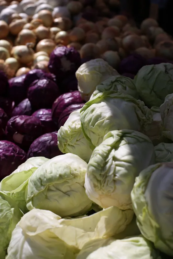 Leostevens creek trail-3.jpg