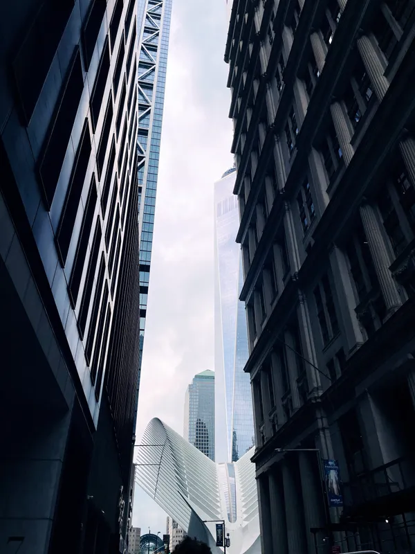 Sight Lines III.jpeg