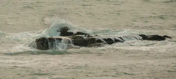 The Splash .jpg