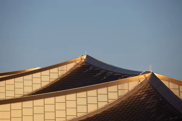 Leo Back yard and front 2-5-2.jpg