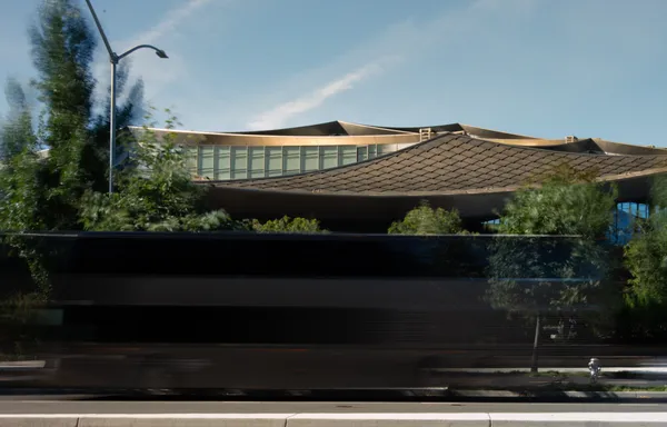 leo google photos -1.jpg