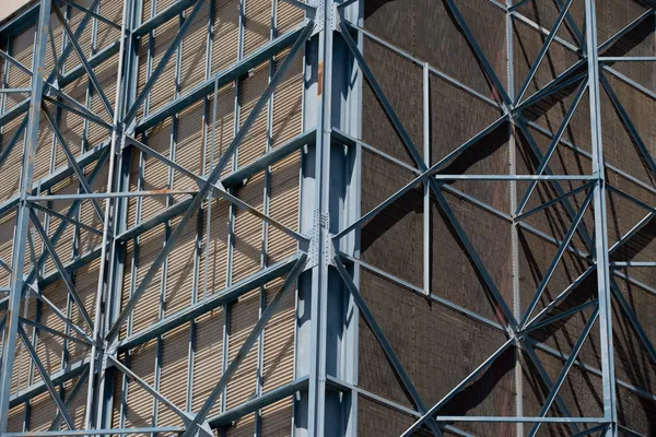 leo google photos -1.jpg