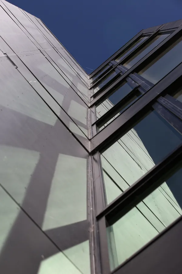 leo google photos -2.jpg