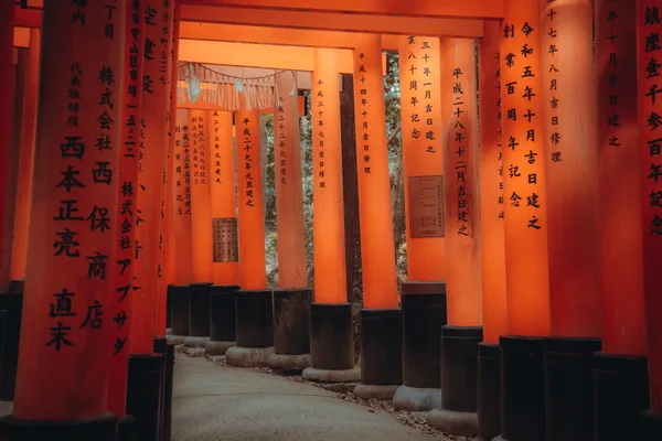 untitled-11 copy.jpg