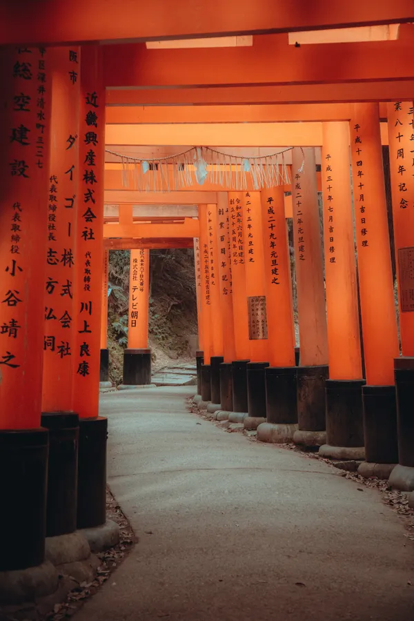 untitled-12 copy.jpg