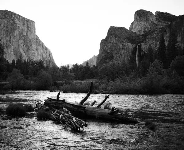 untitled-27.jpg