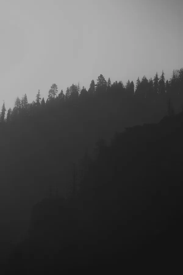 untitled-9.jpg